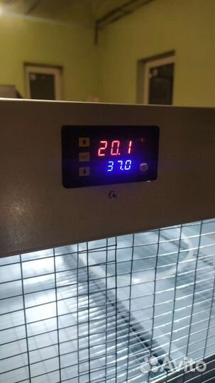 Брудер для всей сельхоз птицы