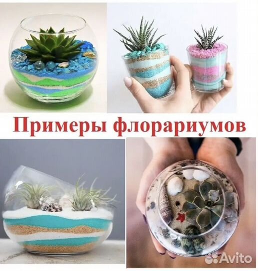 Набор для создания флорариума