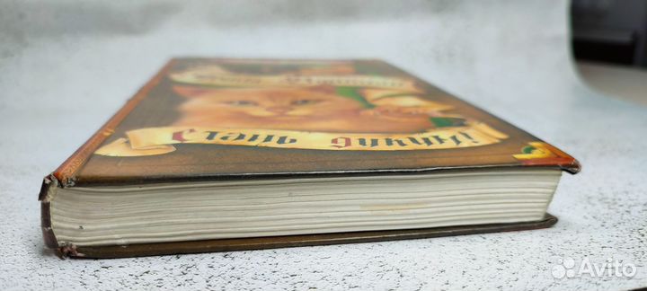 Коты воители Стань диким первая книга