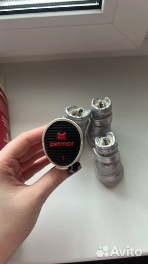 Ботинки для маленьких собак