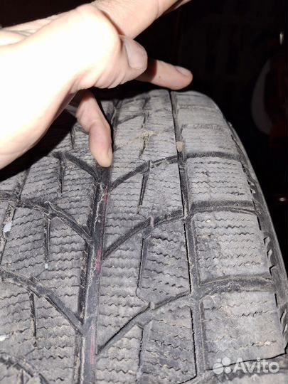 Bridgestone Blizzak WS-60 215/65 R16 98R