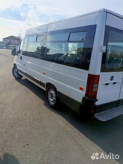 Городской автобус Sollers Atlant, 2009