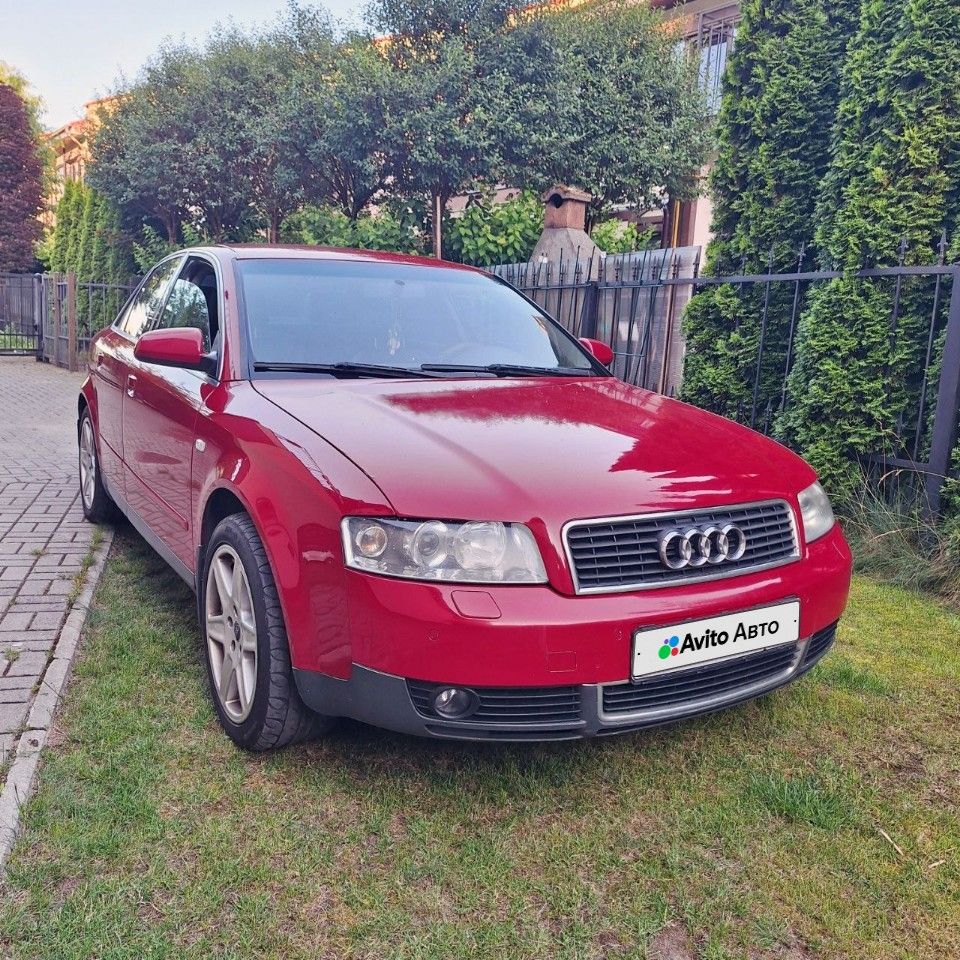 Audi A4: фото владельца