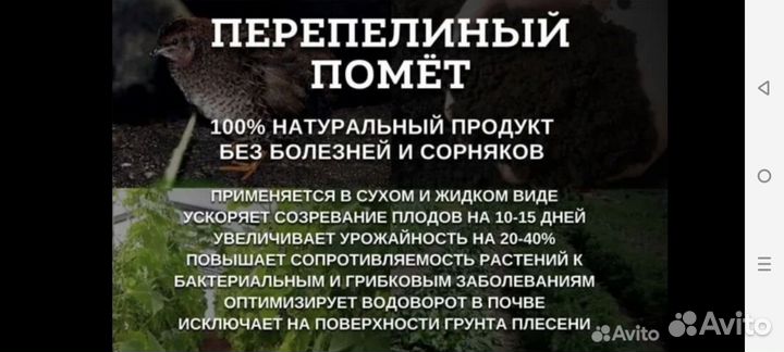 Перепелиный помет