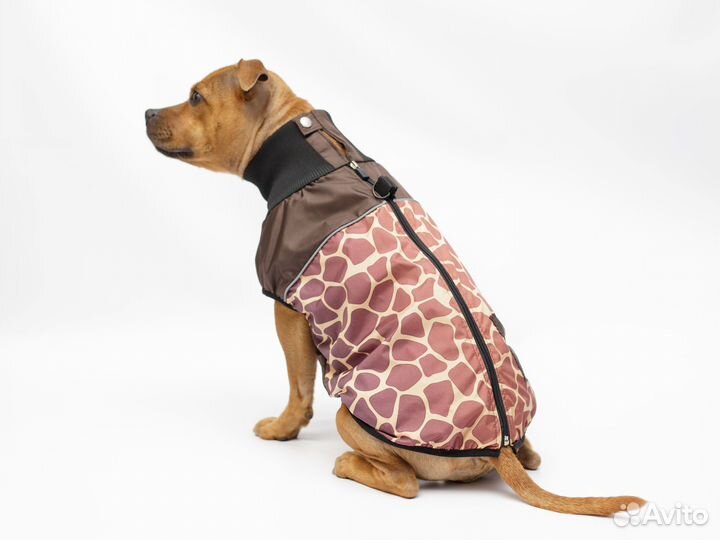 Жилет для собак