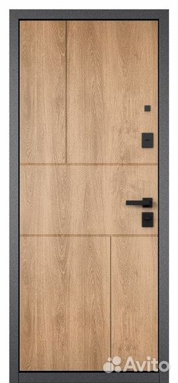 Дверь входная в квартиру