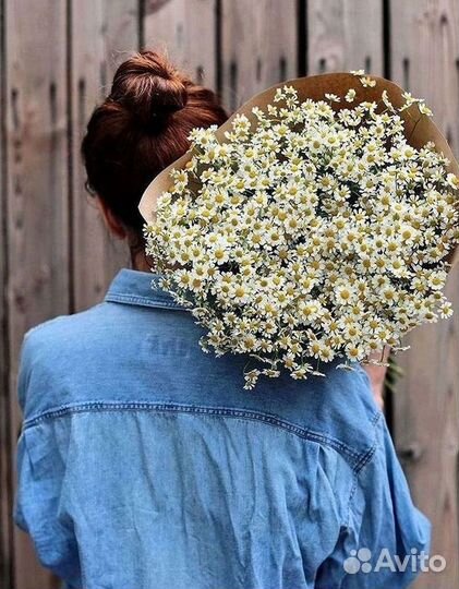 Цветы ромашки. Букеты ромашек. Цветы доставка