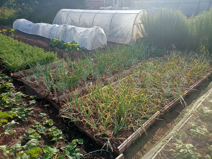 Дача 12 м² на участке 10 сот.