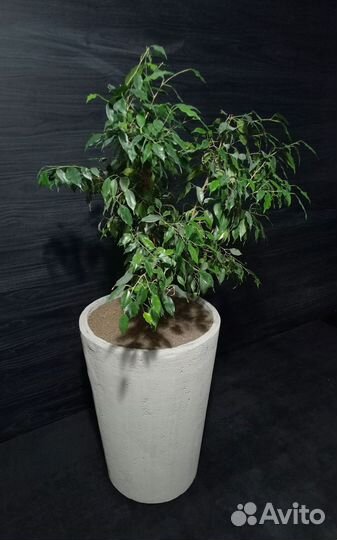 Горшки, Вазоны, Кашпо под заказ из бетона