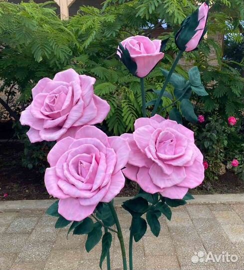 Розы ростовые цветы