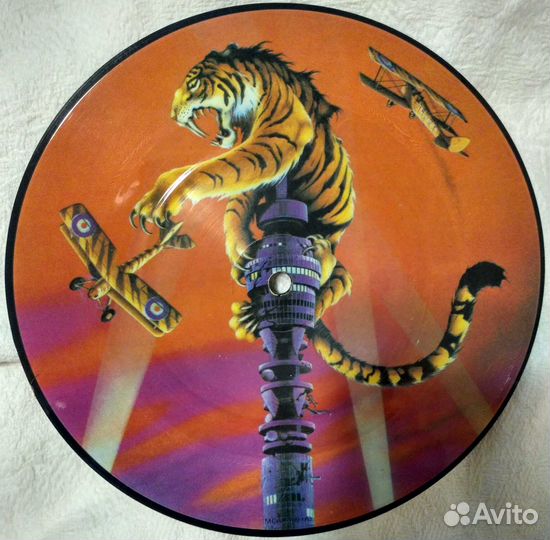 Пикчер-пластинка + другие LP (N6)