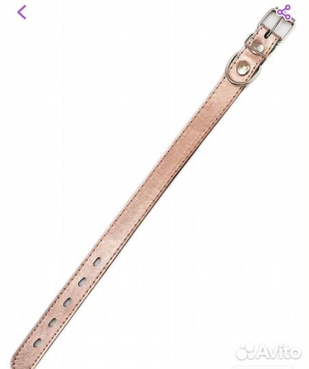 Ошейник для собак