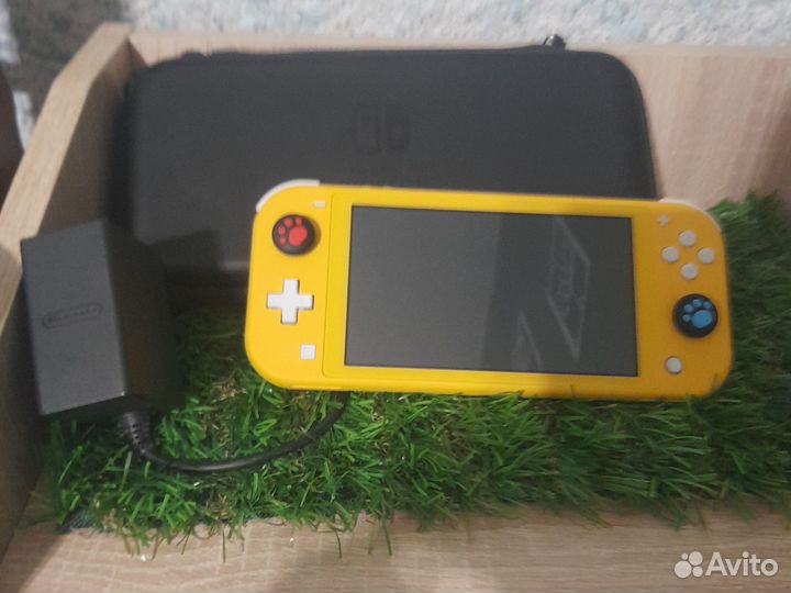 Nintendo switch lite