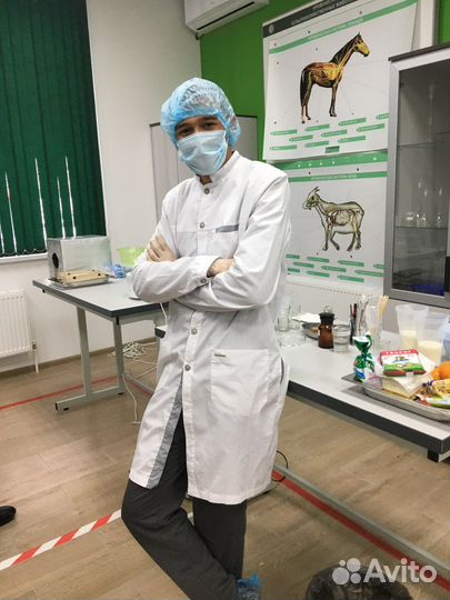 Ветеринарный врач на дом