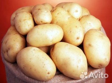 Продам картофель оптом