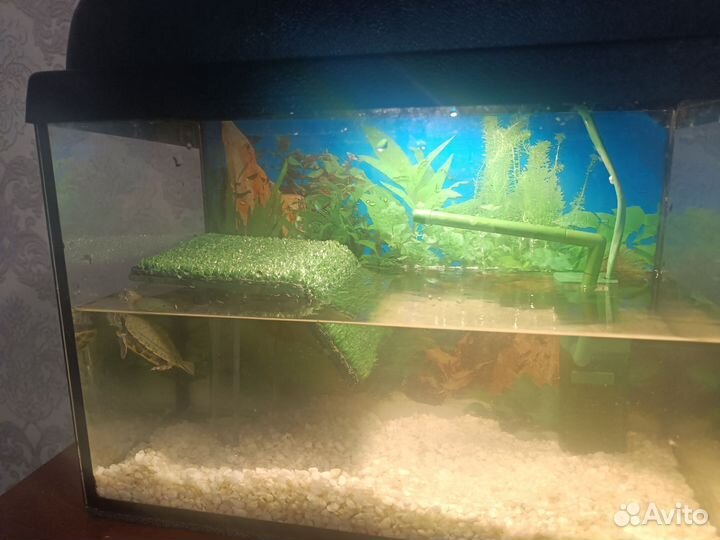 Аквариум 10л для черепах с островком