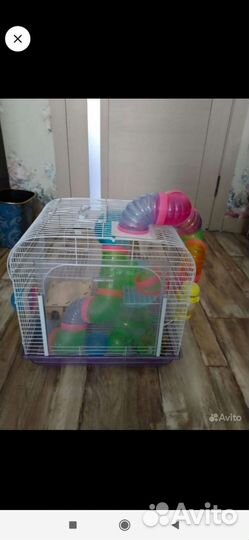 Клетка для хомяка бу