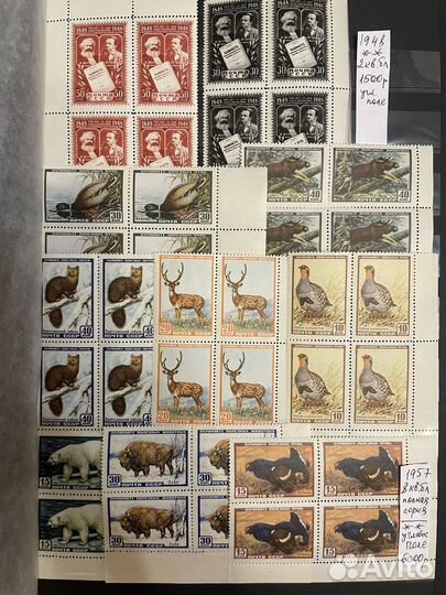 Россия,ссср