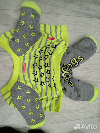 Вещи для маленьких собак