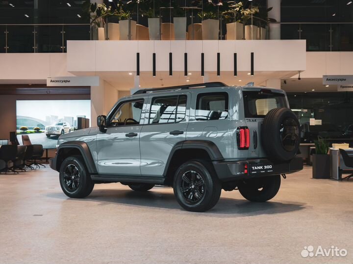 Tank 300 2.0 AT, 2024