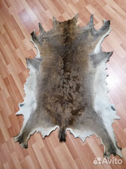 Выделка шкур