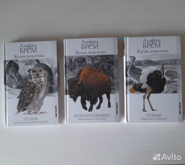 Брем А. Жизнь животных