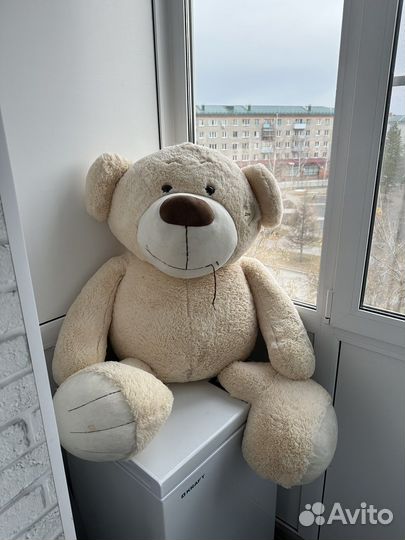 Плюшевый медведь