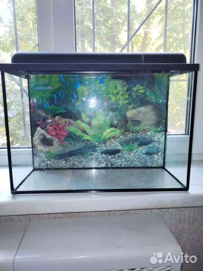 Аквариум