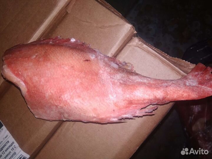 Свежая рыба