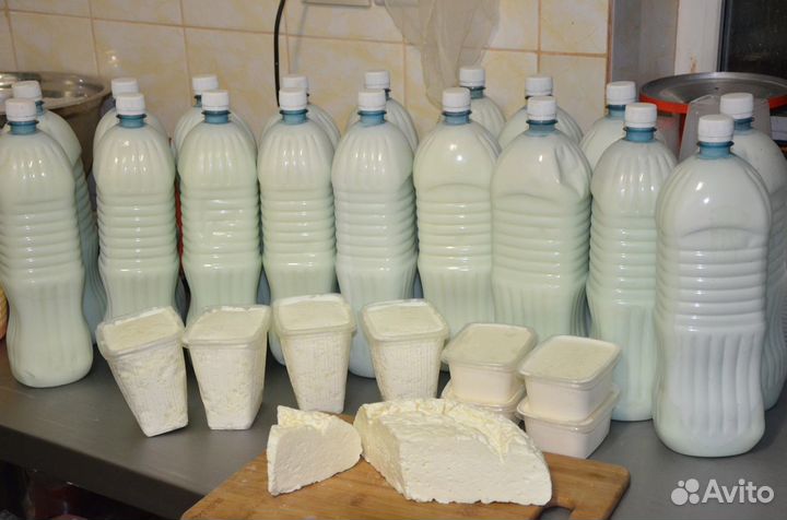 Молоко и молочные продукты