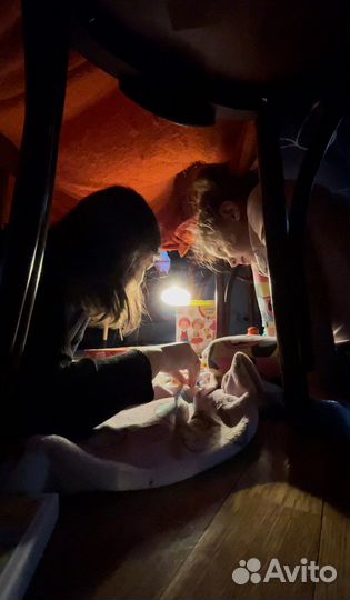 Няня на час/бебиситтер/ няня для прогулок