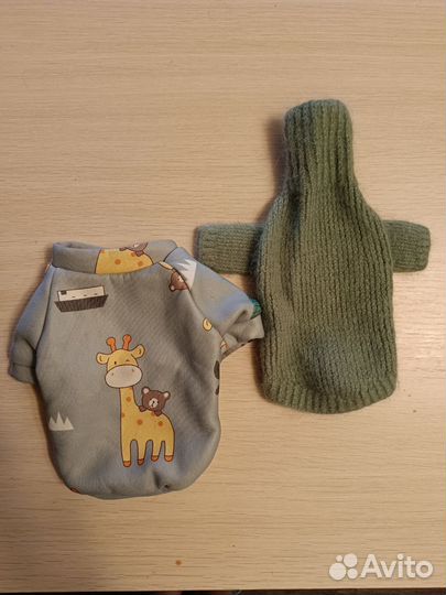 Одежда для собак