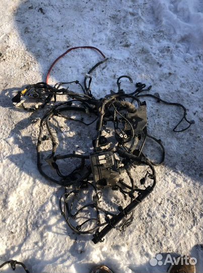 Проводка двигателя Киа Рио 11-16г механика