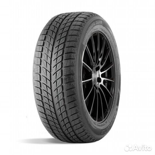 DoubleStar DW09 255/50 R20