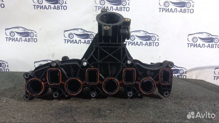 Коллектор q5