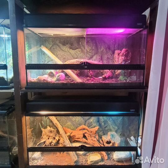 Террариум Exo Terra