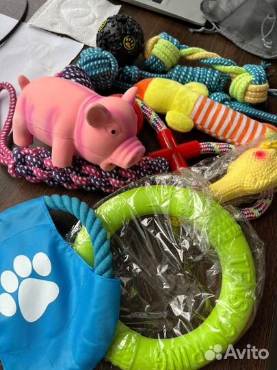 Игрушки для собак, набор 13 в 1, грызунки