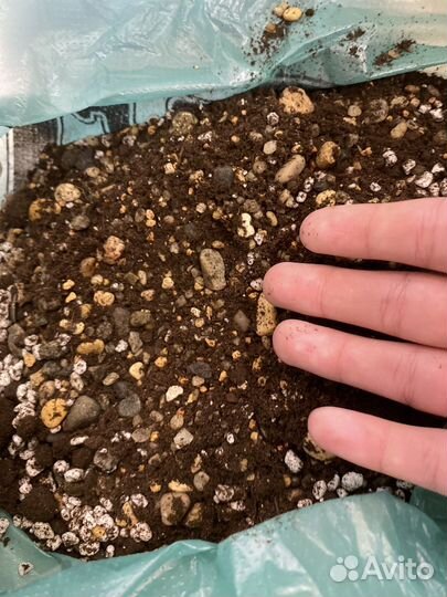 Грунт для суккулентов