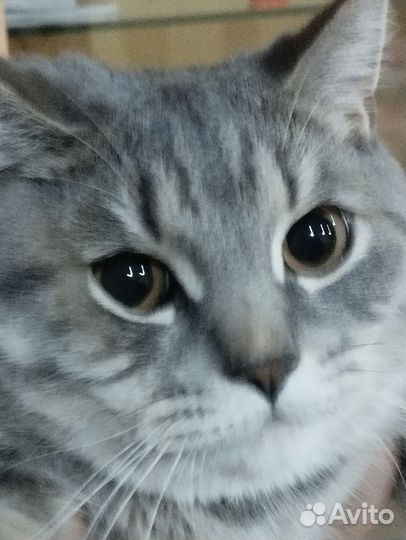 Котик для вязки