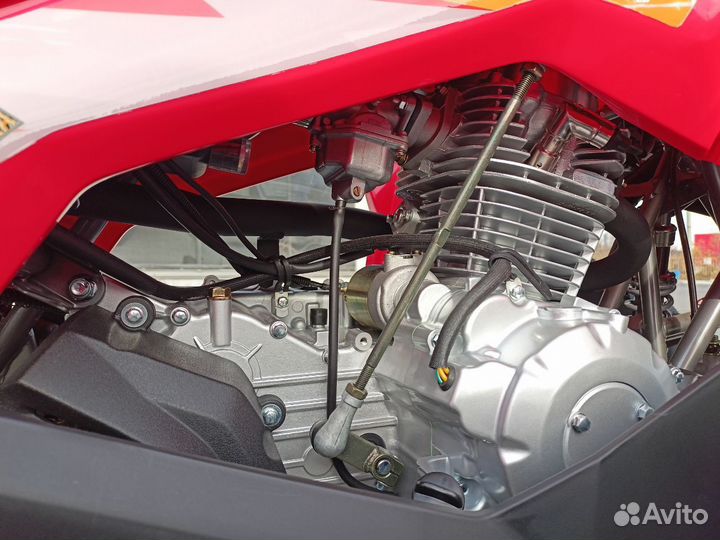 Квадроцикл заряженный Motax Grizlik 200 Ultra