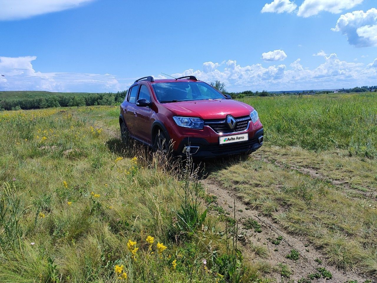 Renault Sandero Stepway: фото из отзыва