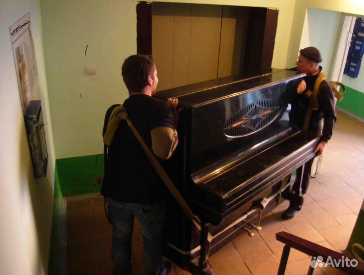 Пианино ноктюрн, ласточка, ф5, дост