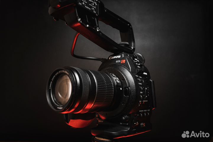 Canon c100