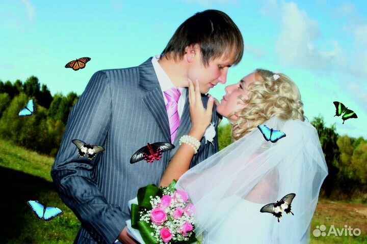 Салют из 10 Живых Тропических Бабочек с/б-11