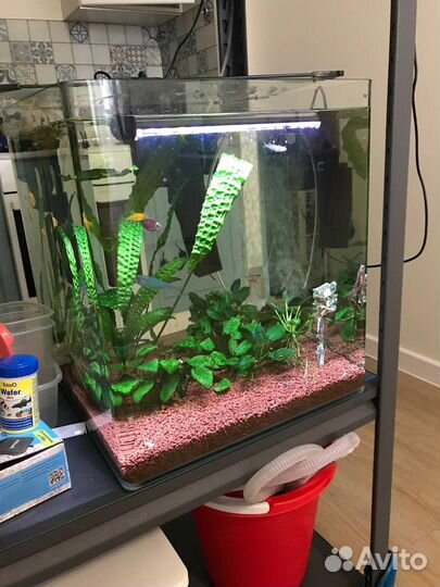 Авариумы Prime 62/50/27л со всем