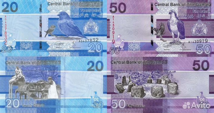 Банкноты Гамбии, Ганы