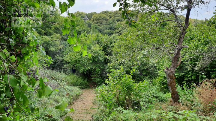 Участок 16 сот. (ИЖС)