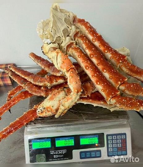 Конечности камчатского краба