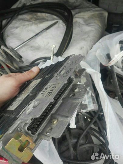 Фольксваген Мозги