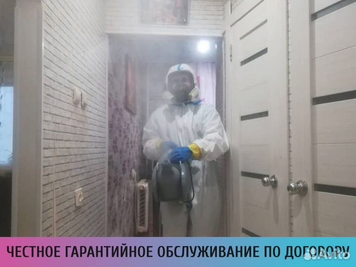 Уничтожение клопов и тараканов. Частный мастер